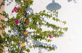 Demati house - Photo 30