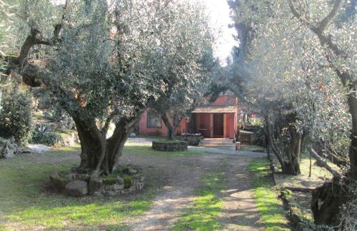 La Dolce Casetta - Foto 32