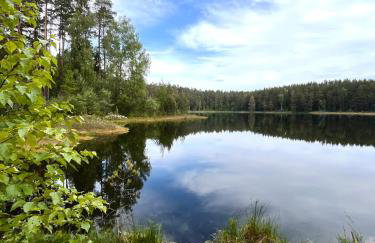 Przystanek Gałkowo - Foto 65