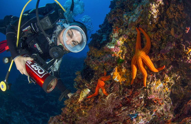 Baptême de plongée à Bosa - Photo 7