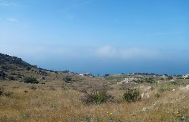 Daphnae House - Foto 42