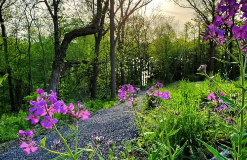 Single Island Shores - Foto 15