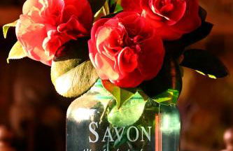 Casal da Serra - Foto 34