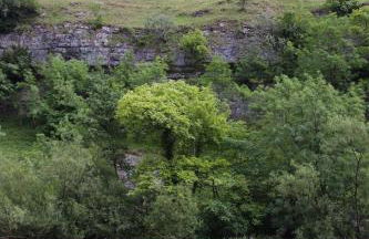 Litton Mill Apartment - Photo 11