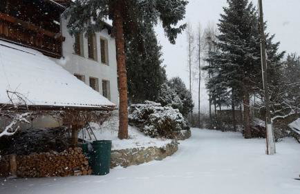 Farma Zdrowia - Foto 15