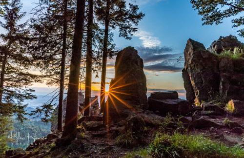 Feriendomizil am Rössleberg, Hinterzarten - Foto 32