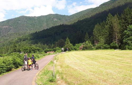 Ledro Lake Suites - Foto 78