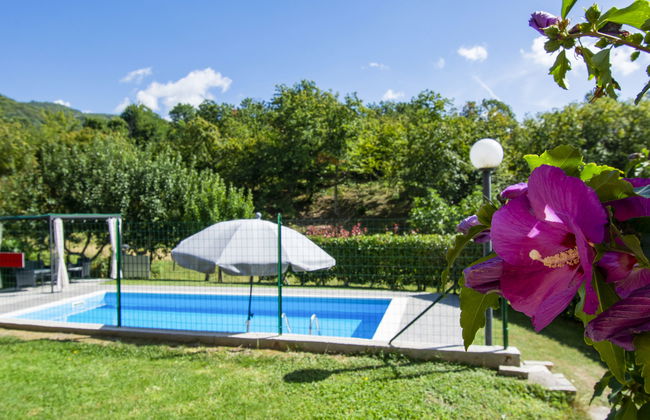 Michael e Patrick - Foto 19