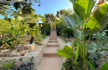 Casa Palmerita a 7 minutos andando de una playa de aguas cristalinas - Foto 14