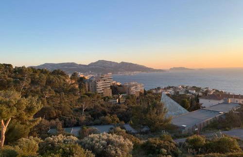 Les Balcons du Roucas Blanc - Foto 26
