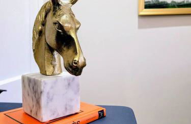 DwtnlParkPasslPizzaOvenlFirePitlYouTubeTVlKinglEV - Foto 6