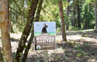 Tranquil Nature Retreat on 12 acres! - Foto 52