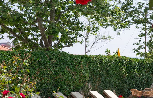 Aeolos Hotel & Villas -Pelion - Foto 77