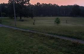 Dreamy Treehouse Cabin Oasis Near Piney River, Tennessee - Foto 21