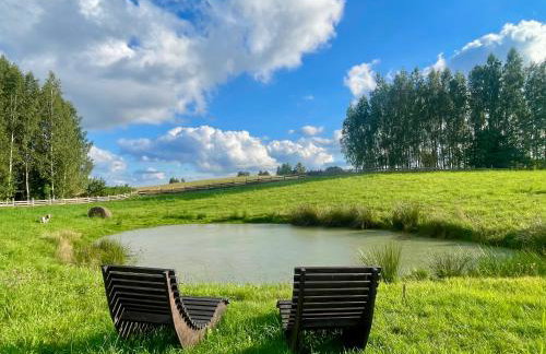 Żurawi klangor - dom z sauną i jacuzzi - Foto 39