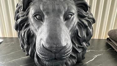 Deluxe Appartement - Foto 5