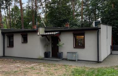 Domek na Morenowym Wzgórzu, nad jeziorem - Foto 27