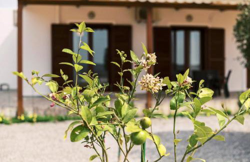 Alonia View House - Foto 43