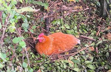 Séjour d'exception au cœur d'Yport - Foto 21