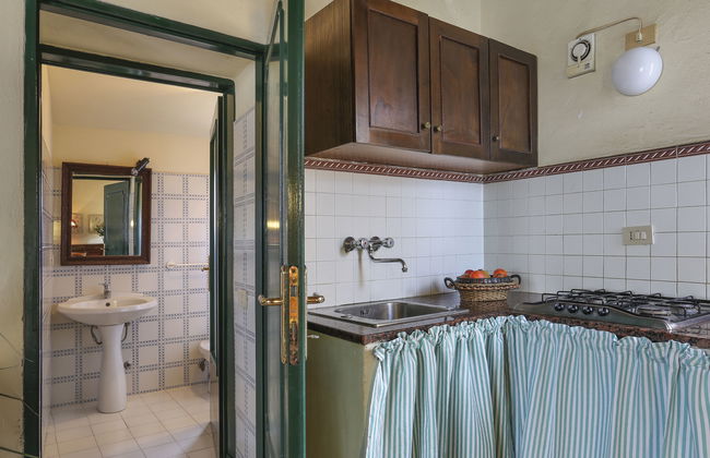 Carbonaia (PAA133) - Foto 5