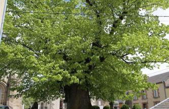 Le studio «des Terroux » - Photo 6