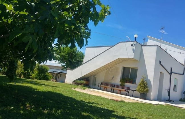 Il Giardino fra gli Ulivi - Foto 36