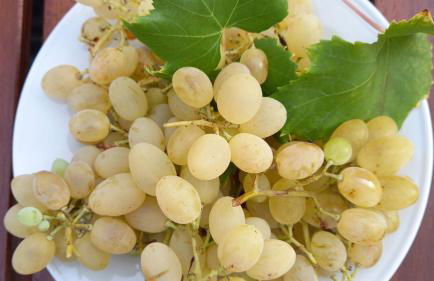 Romantico Monolocale - Foto 10