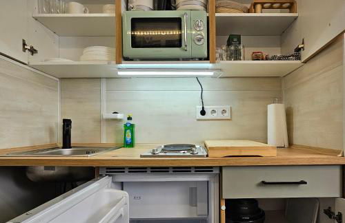 Grünhäuschen im Erzgebirge, 620 m üdM - Foto 13