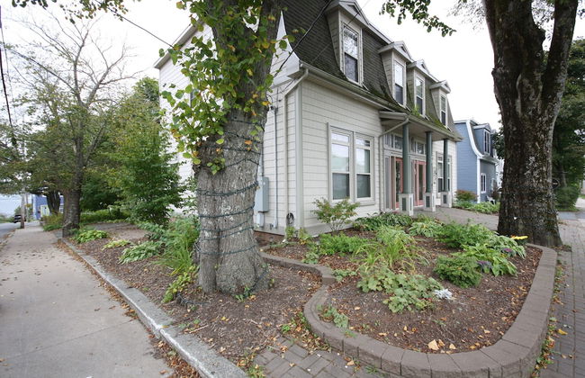 Windmill walk - Photo 20