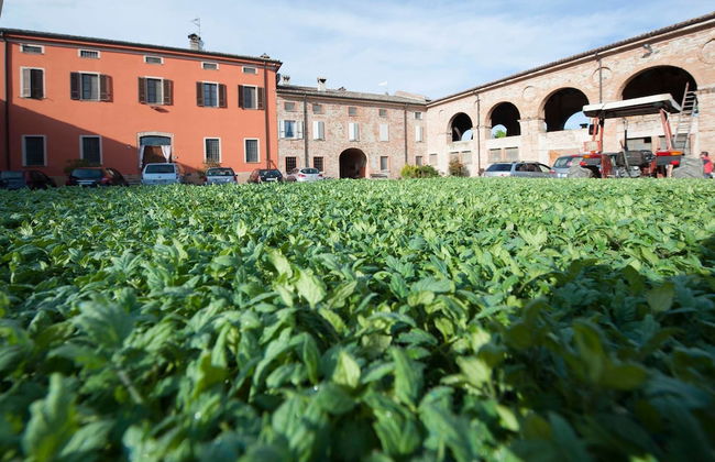 Agriturismo Arte Contadina - Photo 30