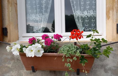 Gîte Fleurs de Gamay au coeur du Beaujolais - Foto 24