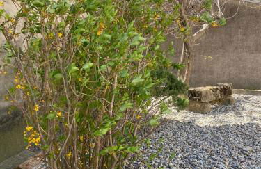 Chez prune - Foto 11