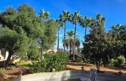 Castell Villa Bohío Mallorca - Foto 32