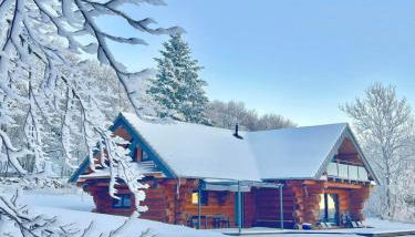 Wood log chalet - Foto 4