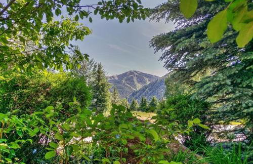 Thunder Springs Condo A2-6 - Foto 30