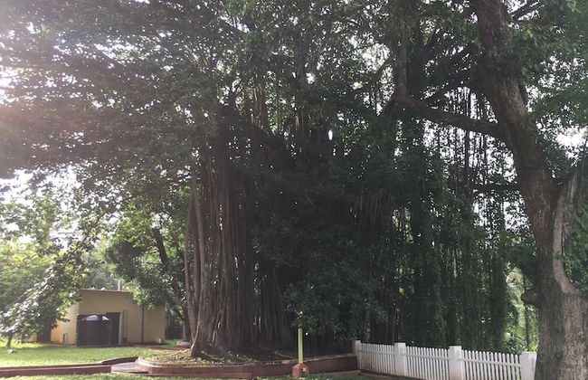 Monarch suites - Photo 40