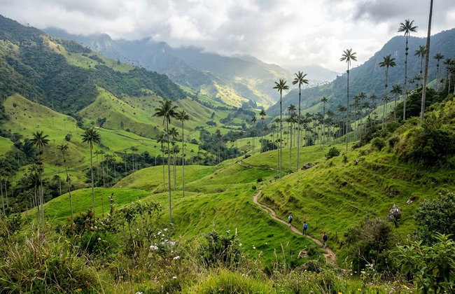 Filandia, Salento & Cocora Valley Day Trip - Photo 2