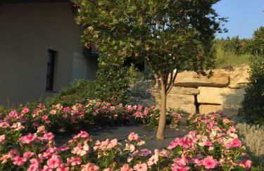 Agriturismo da Mamma - Foto 16