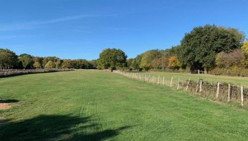 Little Buttercup Cottage - Foto 5, Garden