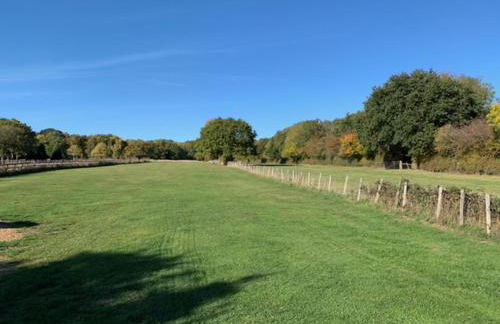 Little Buttercup Cottage - Photo 5