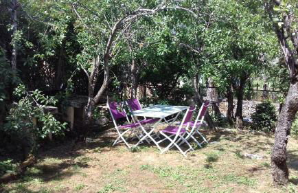 Les pruniers - Foto 13