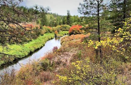 Tranquil Nature Retreat on 12 acres! - Foto 50