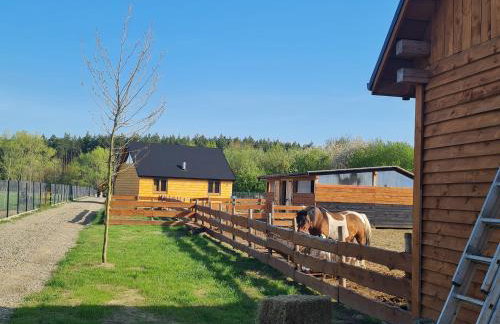 Przyjazna zagroda leśne runo - Foto 21