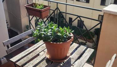 Patrizia Chic - Foto 1