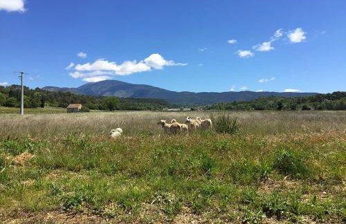Maison de charme avec vue sur le Mont Ventoux - Foto 15