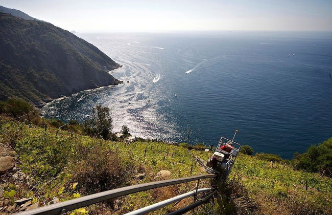 Lecci Di Soviore - Foto 30