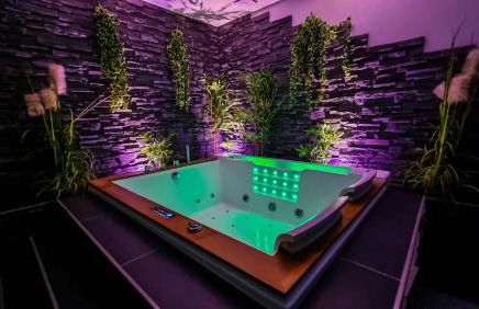 Appart' spa privatif Gray - Foto 1