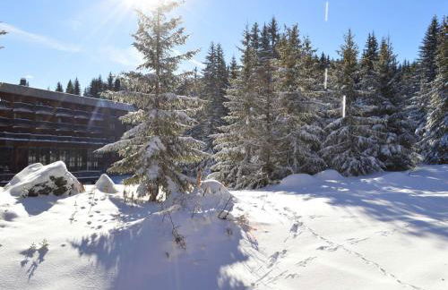 Studio rénové à Courchevel 1850, skis aux pieds, 4 pers, parking inclus - FR-1-575-247 - Foto 11