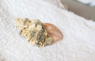 Dream House Efi - Foto 75