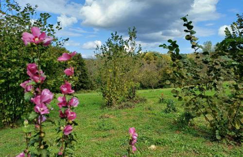 Holiday Home Anka - Foto 44